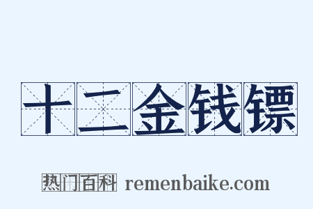 十二金钱镖是什么意思的图片